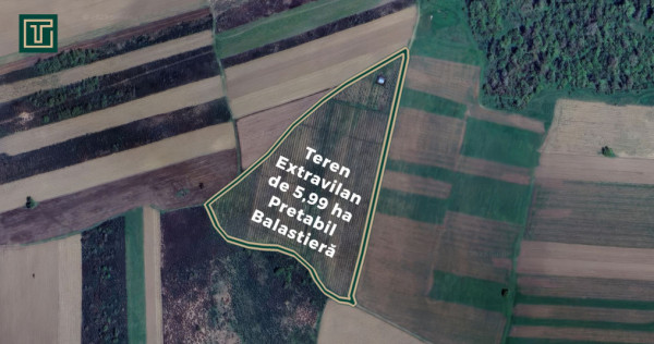 Teren extravilan de 5,99 ha la 200 m de Mureș, ideal pentru