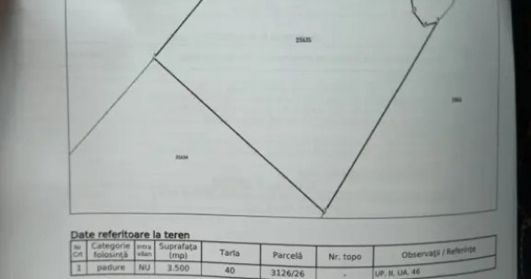 Teren forestier 3500mp