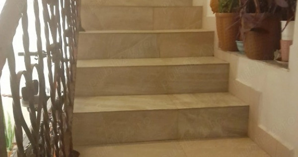 Berceni luica vila orastie