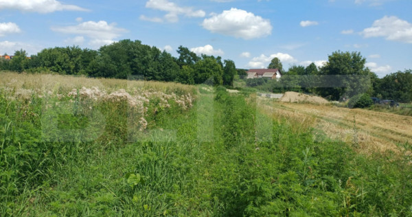 Teren de v&acirc;nzare, intravilan, 5 ari, Suceava, zona Itcani