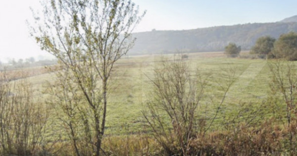 Teren extravilan de vanzare, 1 hectar, zona Monariu