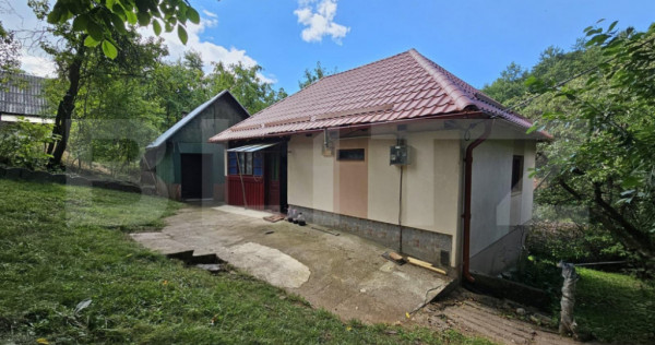 Casă de v&acirc;nzare &icirc;n Almașu Mare &ndash; liniște, natură și