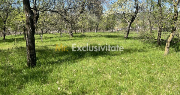 Teren intravilan 3097 mp Comuna Corbi, Jud. Argeș, toart...