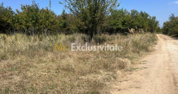 Teren intravilan 5744 mp Mosoaia-Prunilor