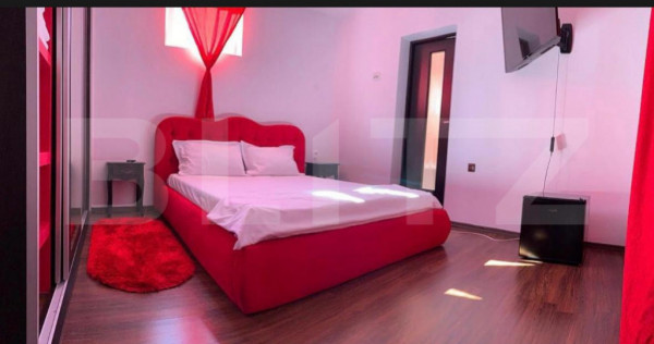 Vilă P+1+M de v&acirc;nzare | 170 mp talpa, Viile Noi, Deva, Ide