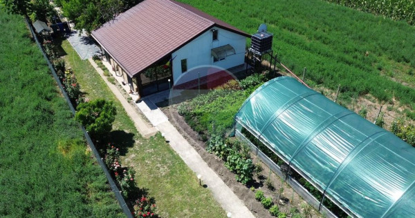 Casă 2 camere teren 6943mp Gologanu