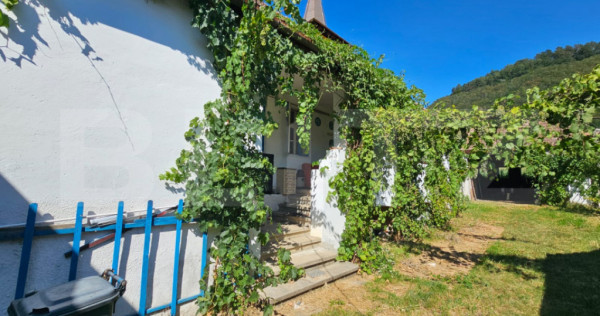 Casă cu anexe, 180 mp, teren intravilan 1.249 mp &ndash; Laz, S