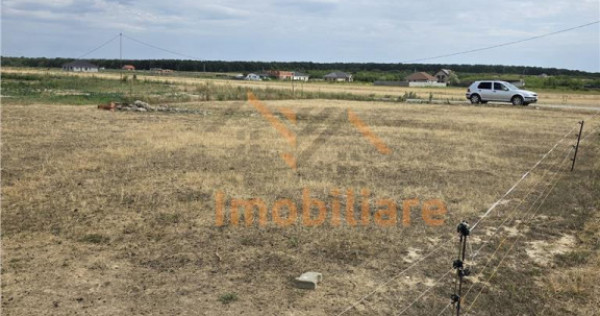 TEREN INTRAVILAN 568 MP | PROIECT CASA | CIHEI - SANMARTIN |