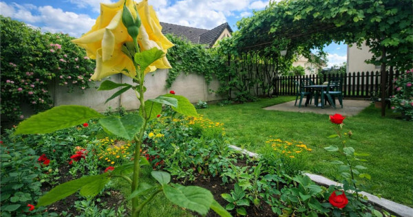 Poveste saseasca la umbra vitei de vie,cu crama,gradina flor