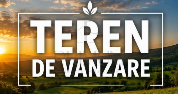 Teren - Mosnita Veche - Doua fronturi stradale