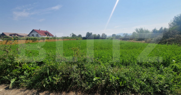 Teren intravilan de vanzare, 3800 mp, zona Vest