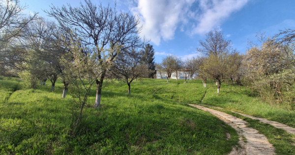 Moșia boierească din v&acirc;rf de deal, Scorțeni - Prahova!