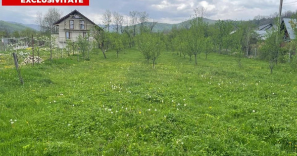 Teren Intravilan 12500 mp Drajna de Sus - Teisani.