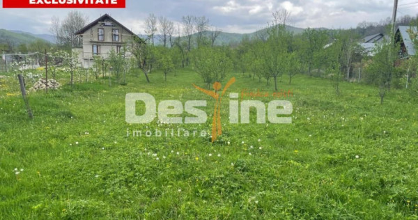 Teren Intravilan 12500 mp Drajna de Sus - Teisani.