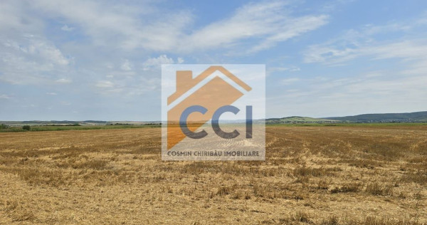 Teren intravilan&ndash; 50.000 mp, Bacău, Șoseaua Hol