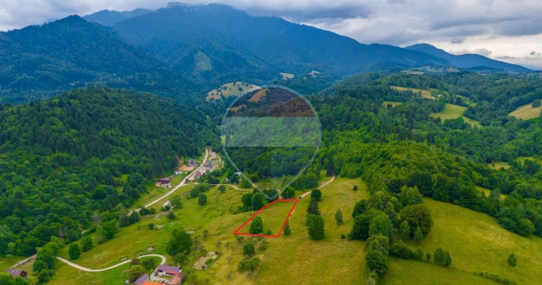 Teren intravilan 2,410mp Rasnov - Valea Panicelului, vede...