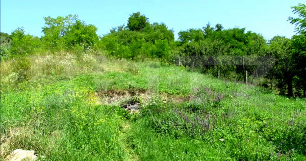 Investitie !Teren extravilan,15554 mp, zona in plina dezvolt