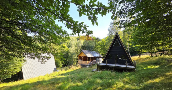 2 cabane A-Frame de v&acirc;nzare, 2.700 mp, Gura Siriului