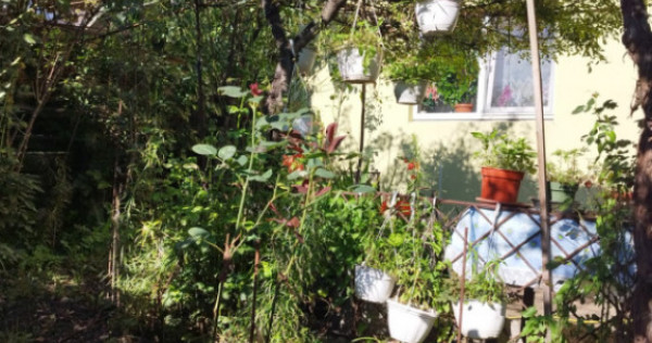 Casa individuala , cu 477 mp Dambu Rotund , Cluj