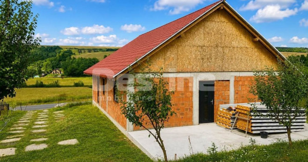 Constructie la rosu si teren 1000 mp, Zapodeni, Vaslui