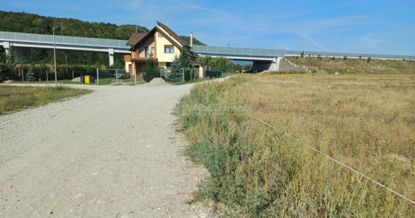 Teren intravilan de 9000 mp zona intre iazuri Talmaciu