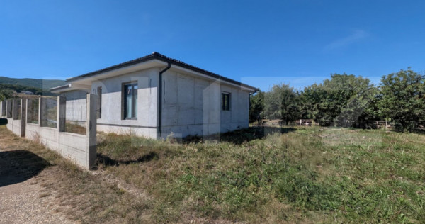 Casa individuala de vanzare in Micesti, partea cu padurea