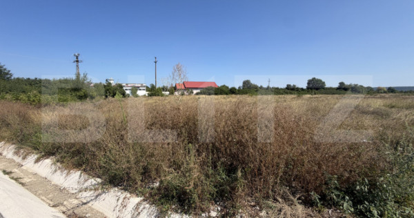 Teren 15.000 mp, zona Bucureasa