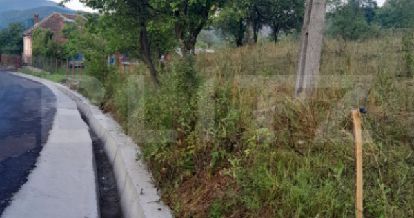 Teren extravilan, 2.175 mp, zona Șesuri