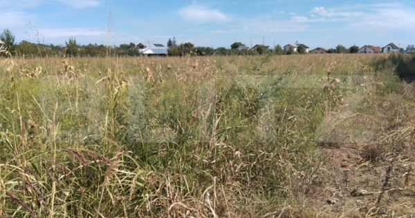 ???? Teren intravilan de 5.400 mp | Matraca, județul D&acirc;mbo