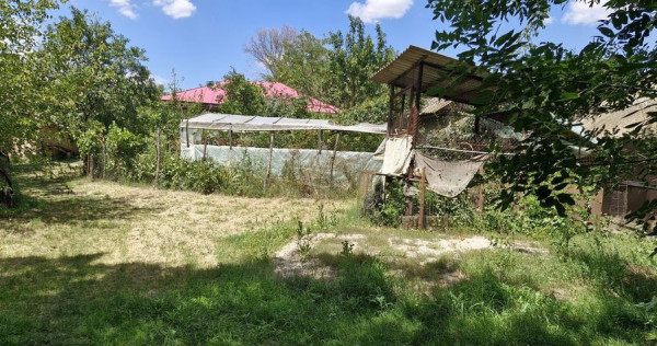 Casa si teren 3000 mp Naipu Giurgiu