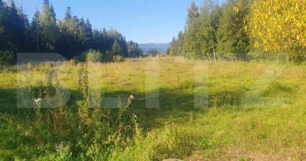 Teren intravilan, 14.540 mp, zona Neagra Sarului - Vatra Dor