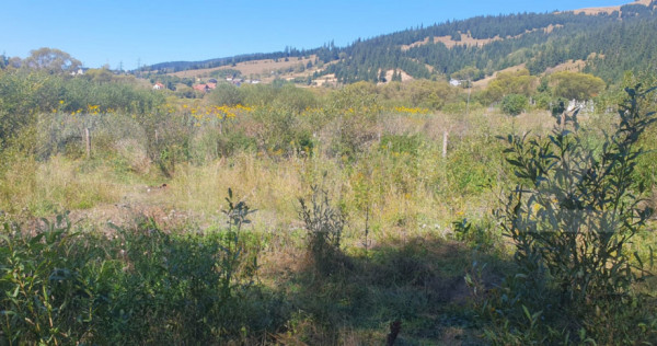 Teren intravilan, 1.105 mp, zona Vatra Dornei