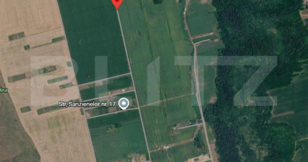 Teren de vanzare, 2426 mp, zona Valea Lupului