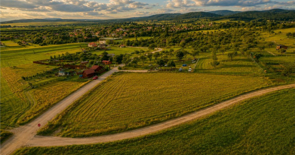 3.800mp recomandat: investitie,rezidenta vacanta,domeniu pri