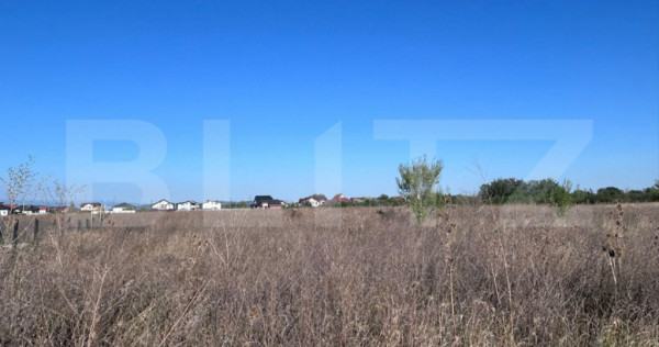 Teren extravilan-470Mp, zona Ana Ipatescu