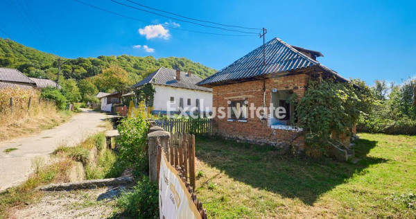 Casa cu teren de 1.200 mp si livada&ndash;Badesti, comuna Pietrosani, Arges