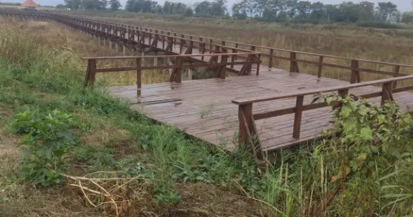 Teren intravilan la balta Odoreu, Satu Mare 2500mp
