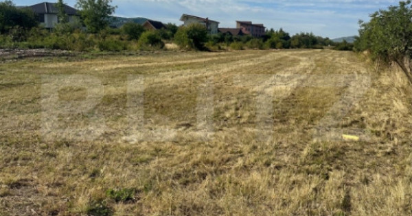 Teren 55 ari, Urbanism 7 Duplex P+E, zona Valea Rusului
