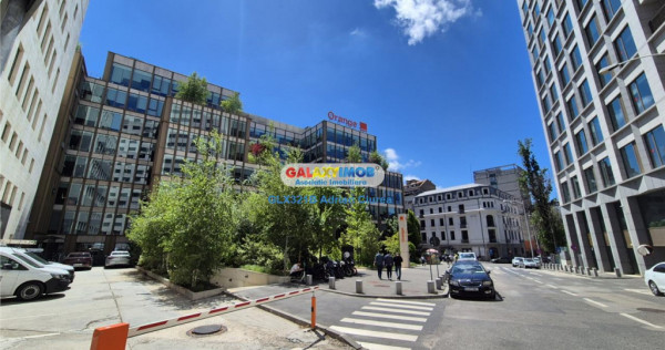 Matei Millo | Cismigiu | Calea Victoriei | 5 Camere | 160mp