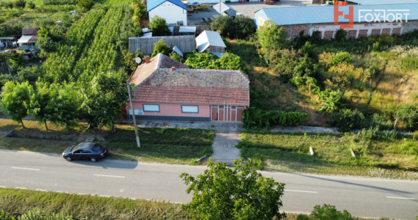 Casa individuala cu 3 camere, 130 mp utili, teren 1238 mp, i