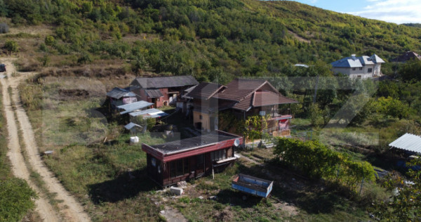 Casă P+M cu 1.380 mp teren intravilan, Vifor&acirc;ta &ndash; 97 mp