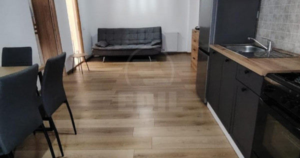 Apartament cu 2 camere de &icirc;nchiriat &ndash; Florilor