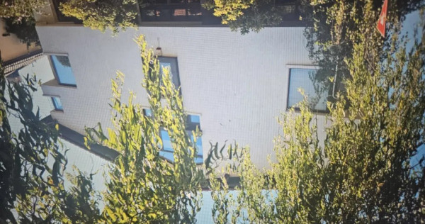 Vanzare casa/vila zona Domenii-1 Mai