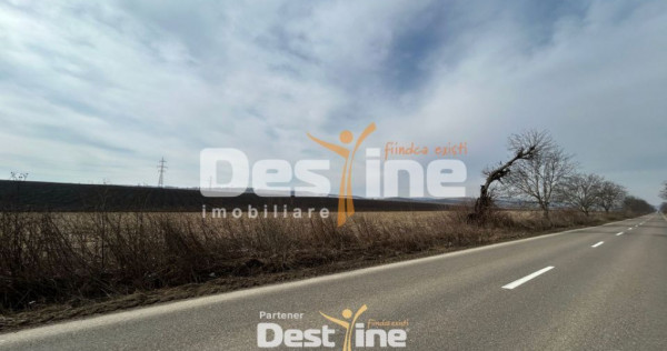 Teren de vanzare Caciulesti 11.000Euro 1300mp