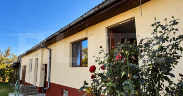 Casa individuala, 100.90 mp, teren 723 mp, zona Calarasi