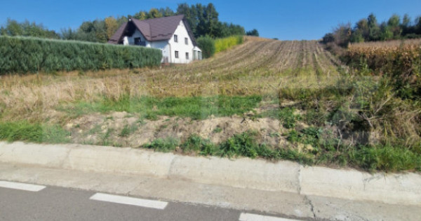 Teren extravilan parțial intravilan, 10.003mp, zona Moara