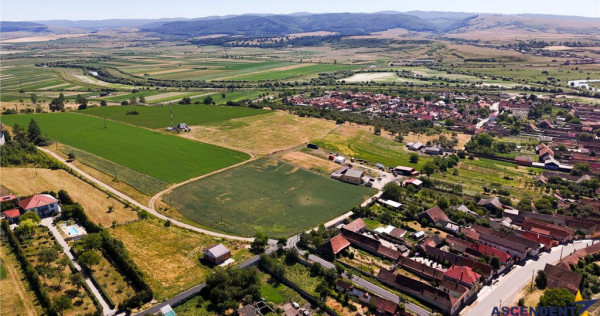 5 loturi casa in Maierus,1.375mp, langa DN13, Doripesco, Bra
