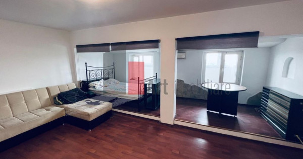 Studio deosebit parc Plumbuita