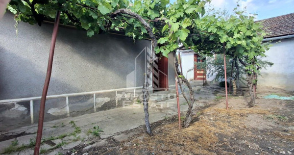 Casa Micalaca, renovare sau demolare teren 360 mp