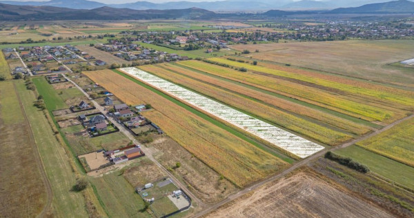 Teren Intravilan Bod | 15.000 mp | Zona Uranus - Constelației